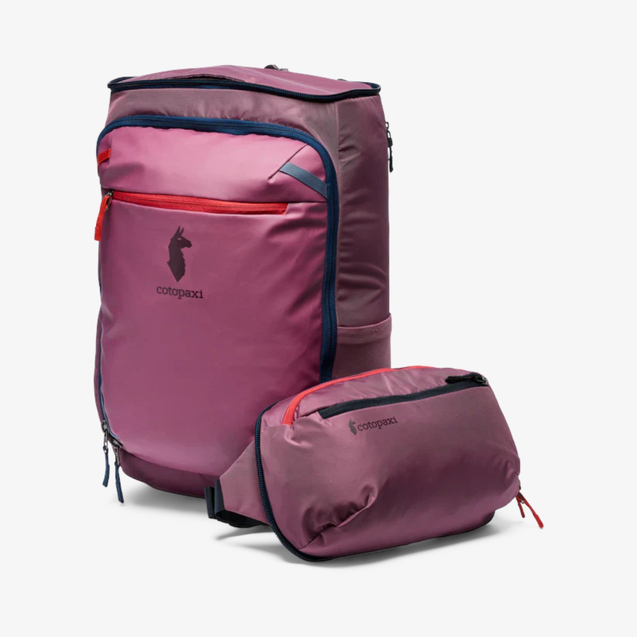 Cotopaxi Allpa 50L Adventure Travel Pack - Fig