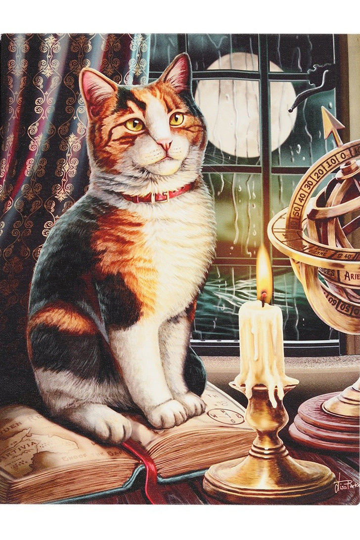 Lisa Parker Adventure Awaits Picture