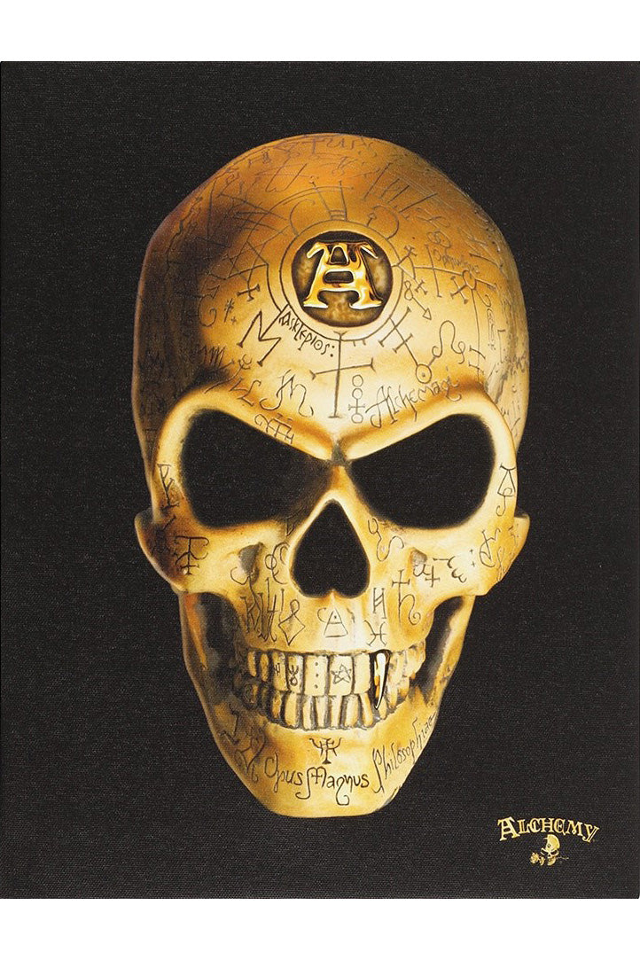 Alchemy Omega Skull Canvas Picture