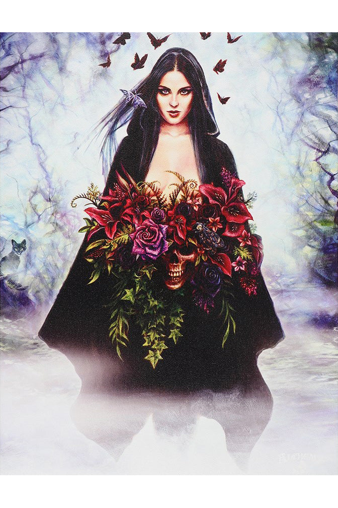 Alchemy Seasons of The Witch Picture