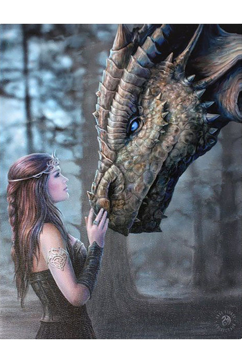 Anne Stokes Once Upon A Time Canvas Plaque