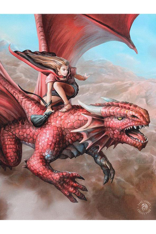 Anne Stokes Sky Surfer Picture