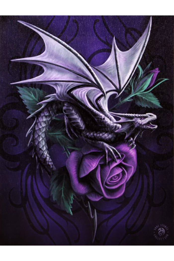 Anne Stokes Dragon Beauty Canvas