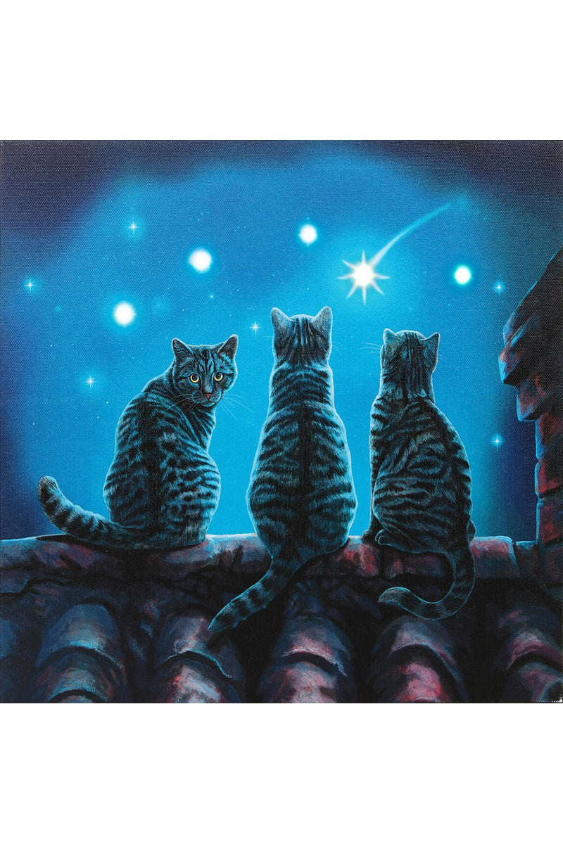 Lisa Parker Wish Upon A Star Light Up Picture