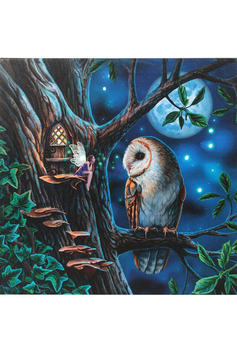 Lisa Parker Fairy Tales Light Up Picture