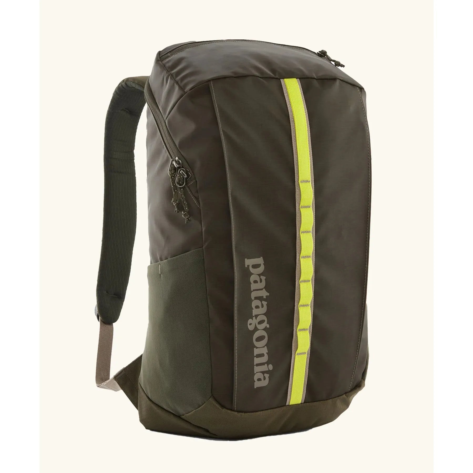 Patagonia Black Hole Backpack 25L - Pine Needle Green