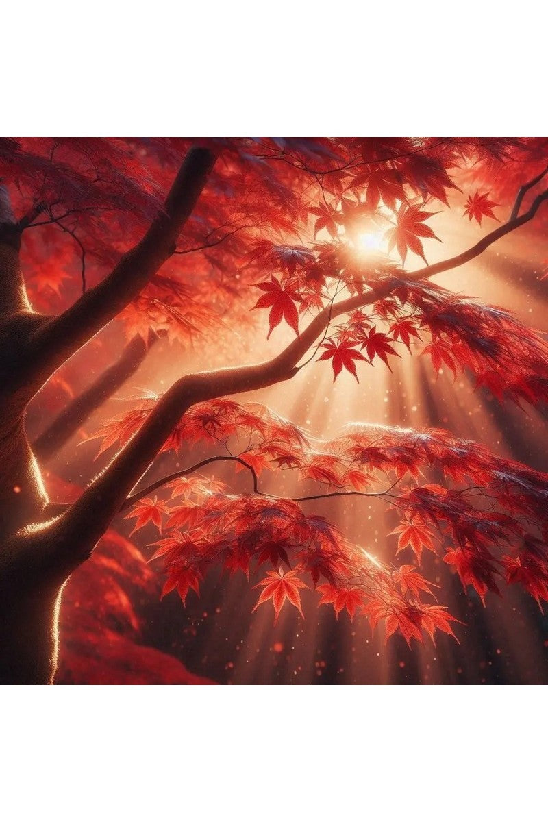 Oakhart The Glimmering Maple Print