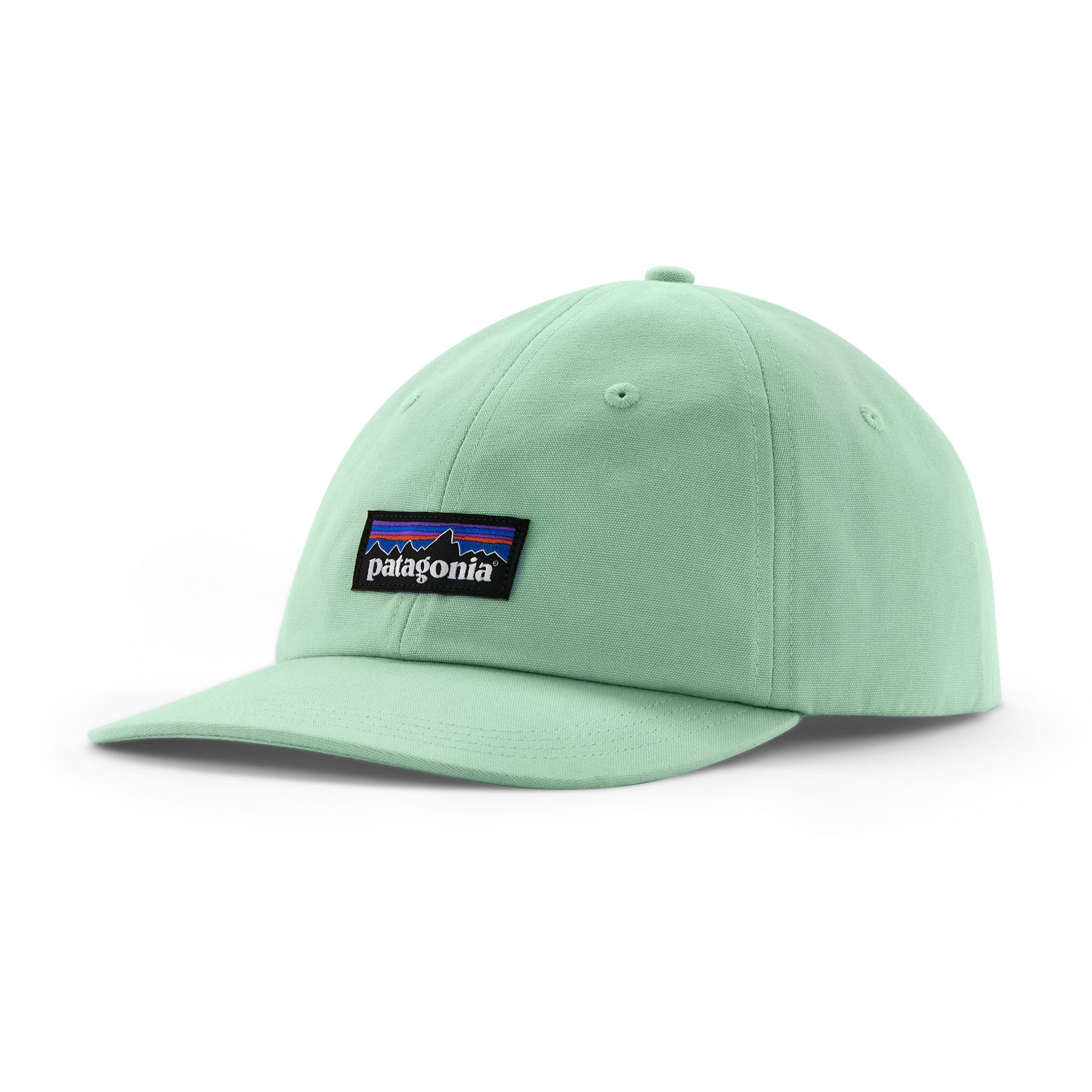 Patagonia P-6 Label Trad Cap - Rinsed Green