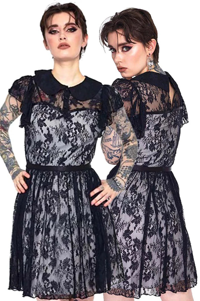 Jawbreaker Lace Overlay Collar Dress