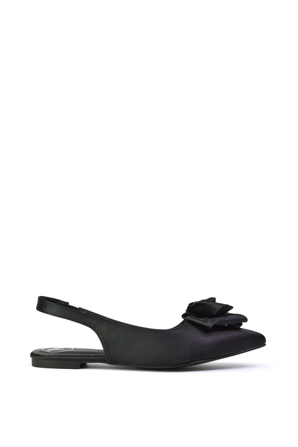 'Zooey' Rose Pointed Toe Sling Back Flat Ballerina Pump Shoes