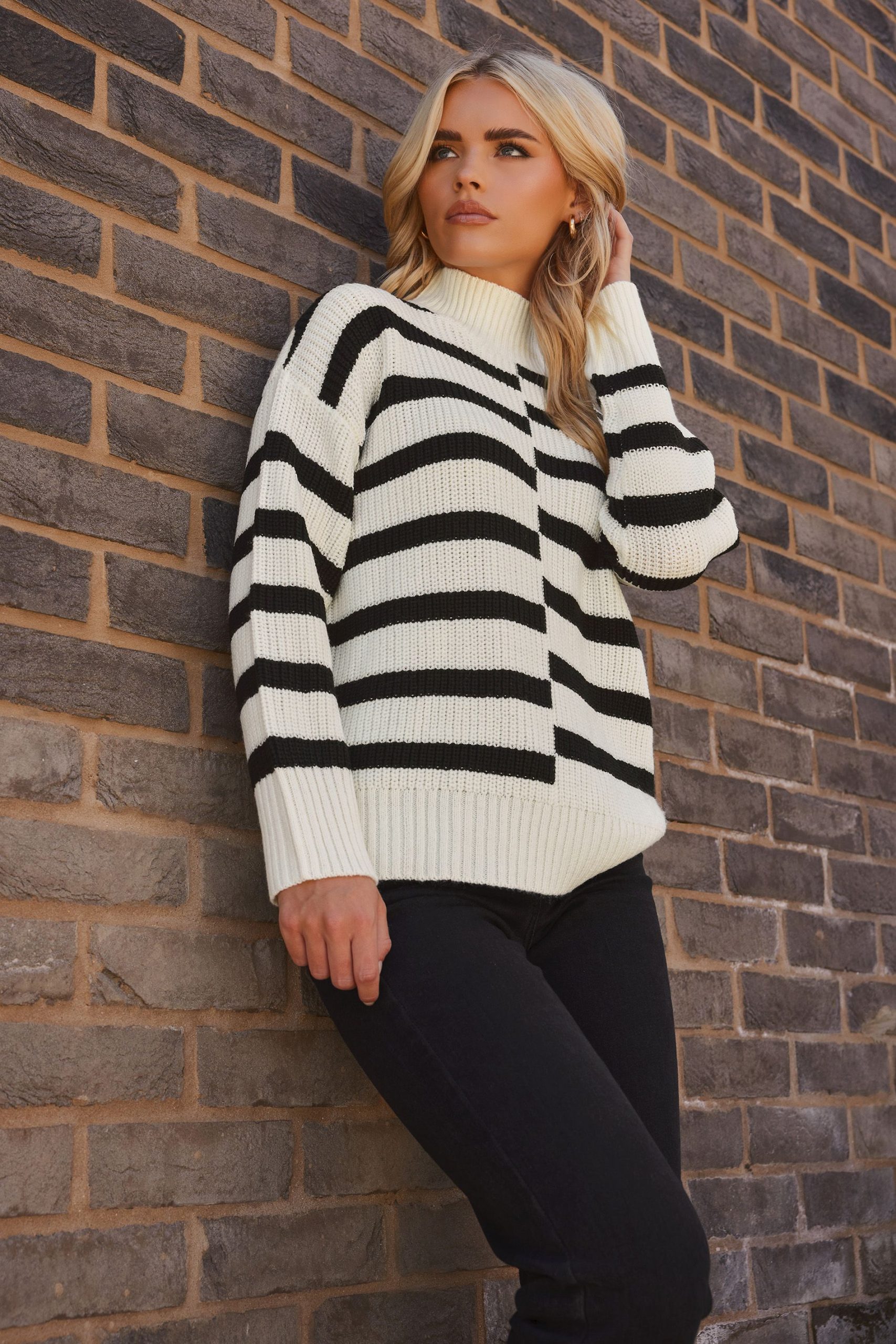 Petite Stripe Turtle Neck Jumper