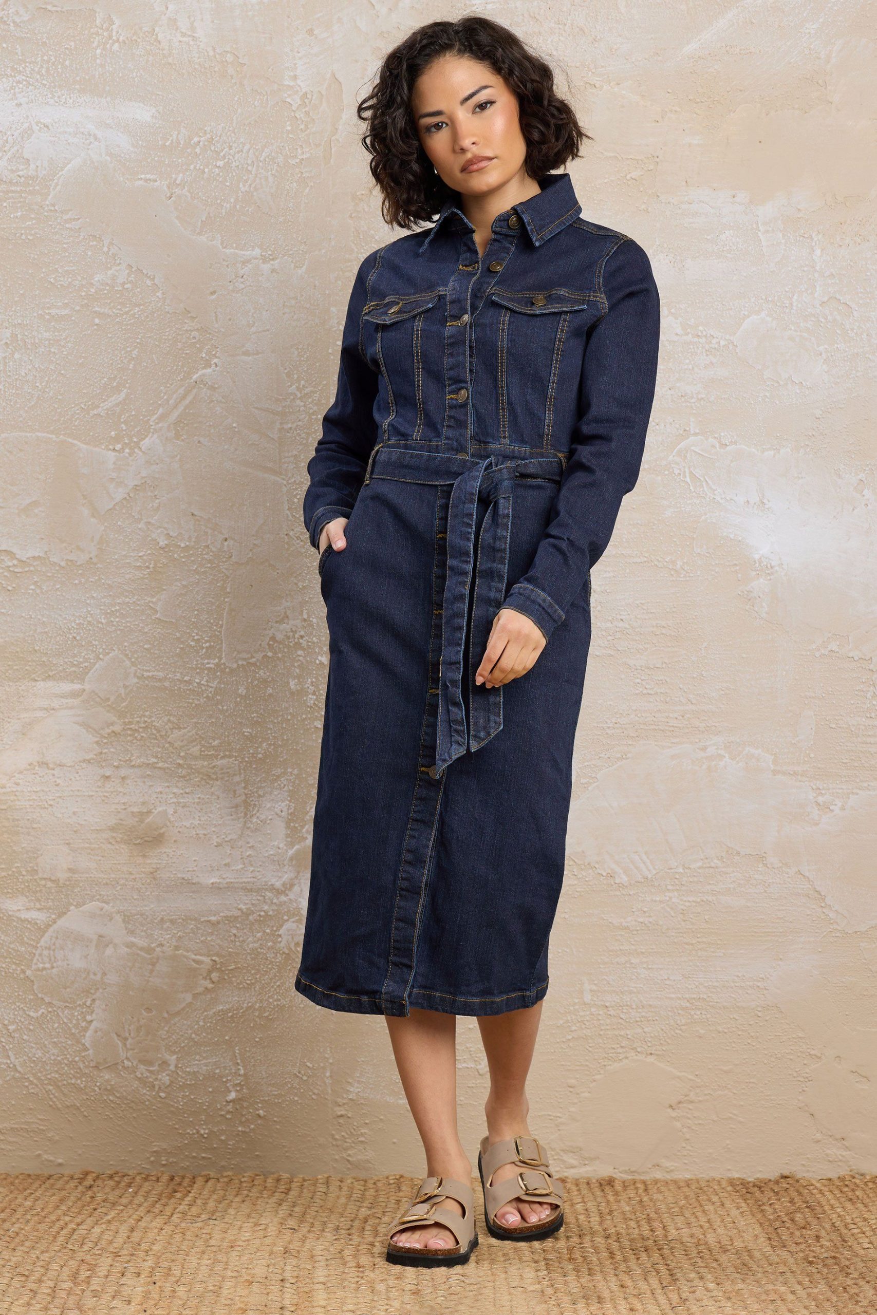 Petite Denim Tie Dress