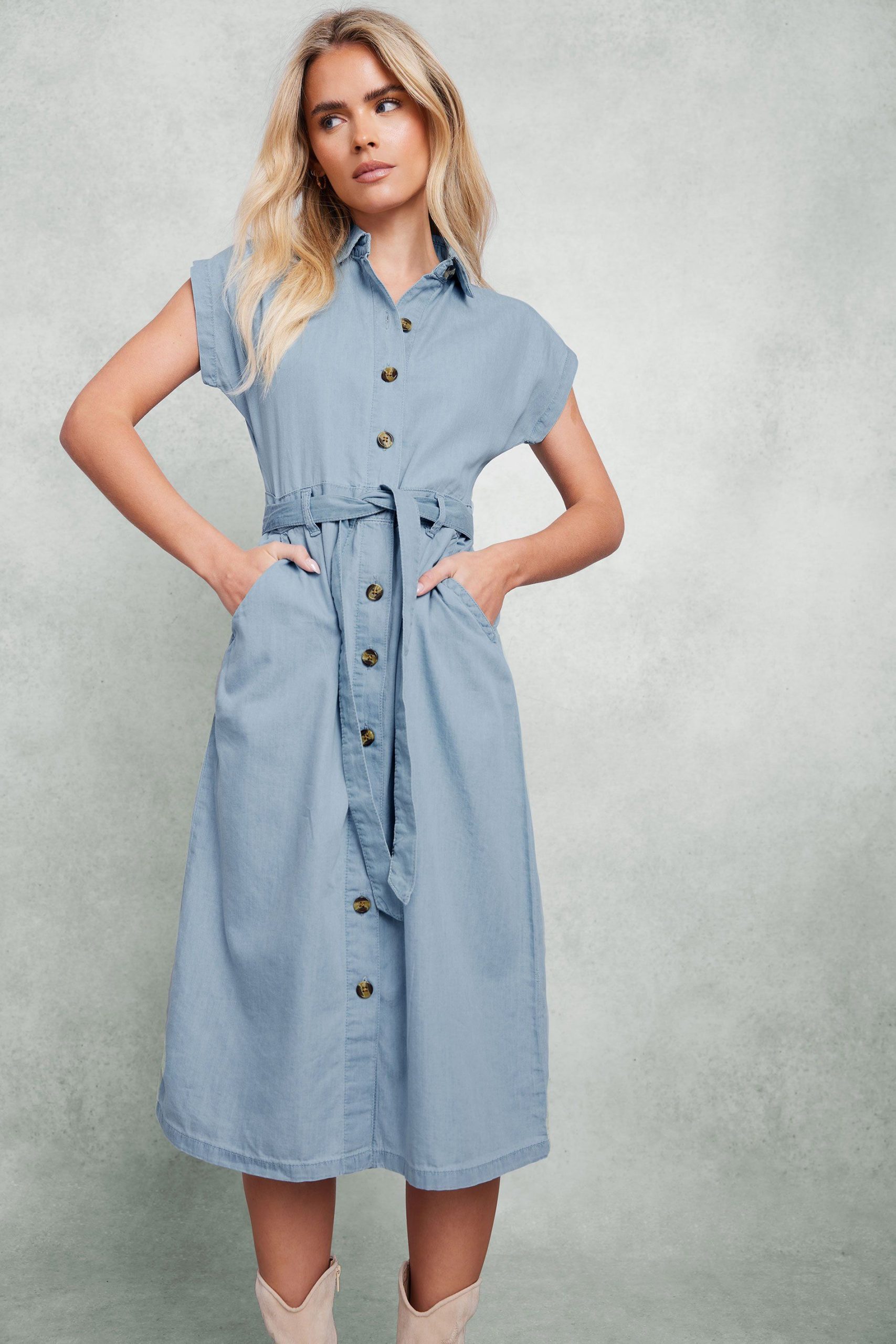 Petite Denim Shirt Dress