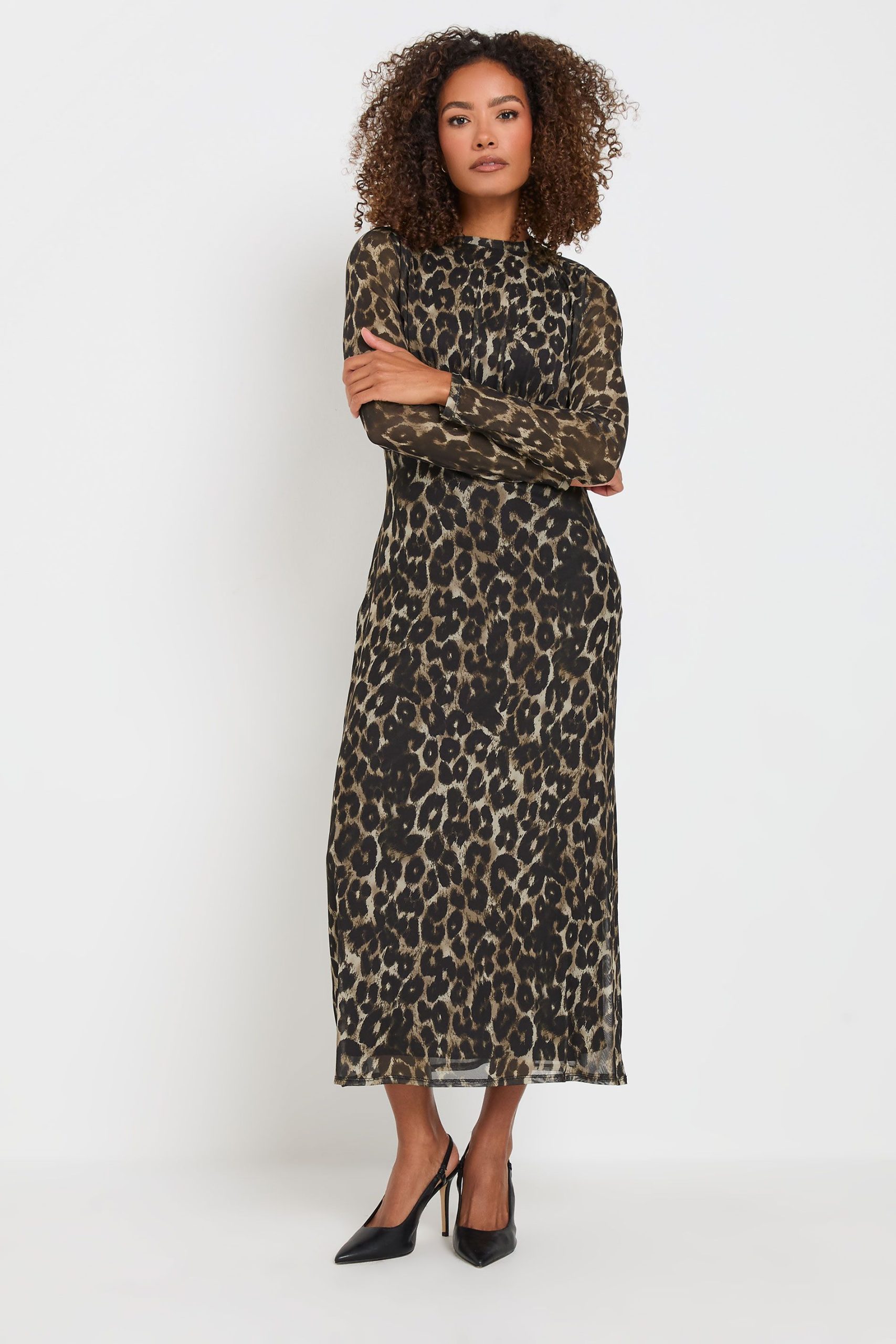 Women's Mesh Animal Print Dress