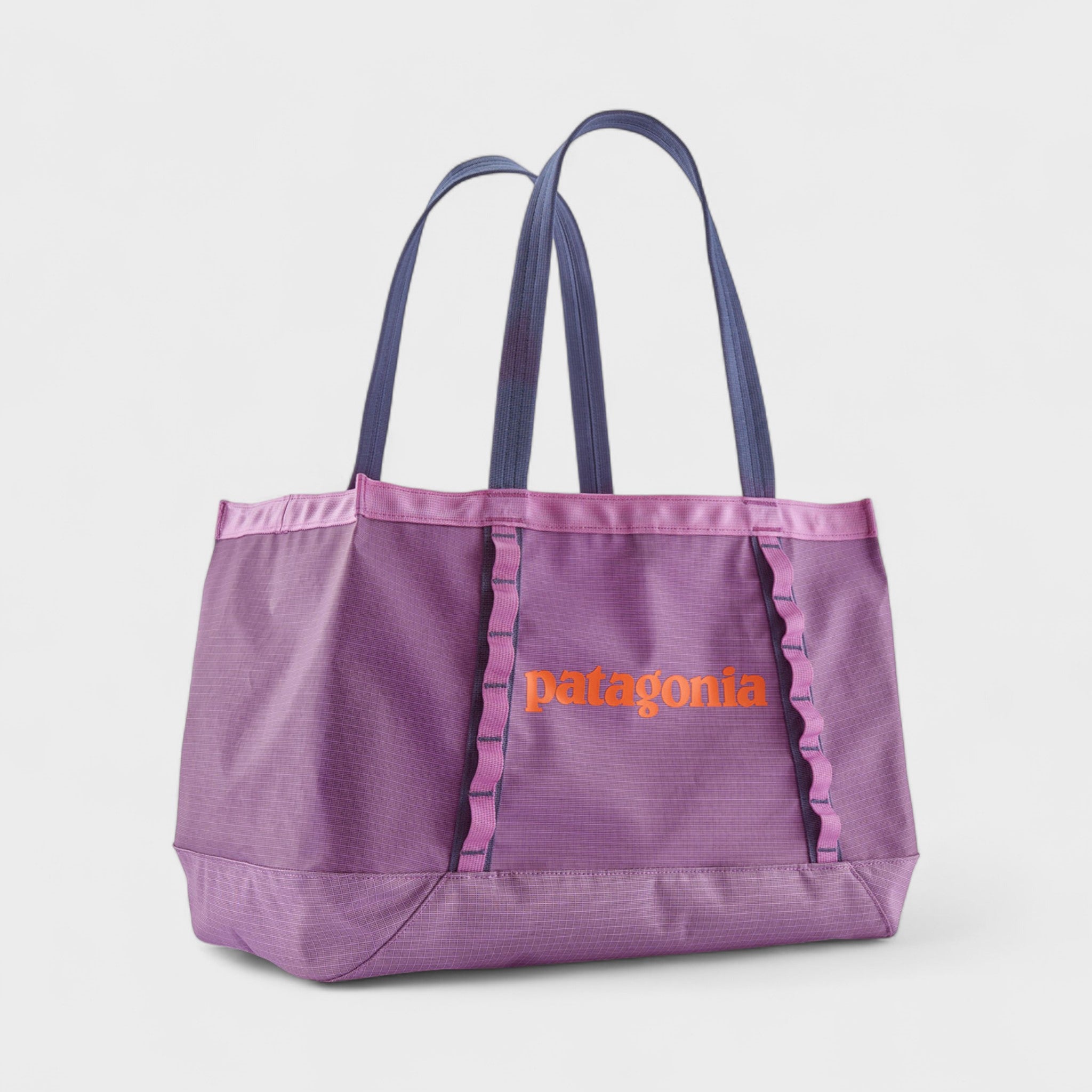 Patagonia Black Hole® Tote 25L - Brisk Purple