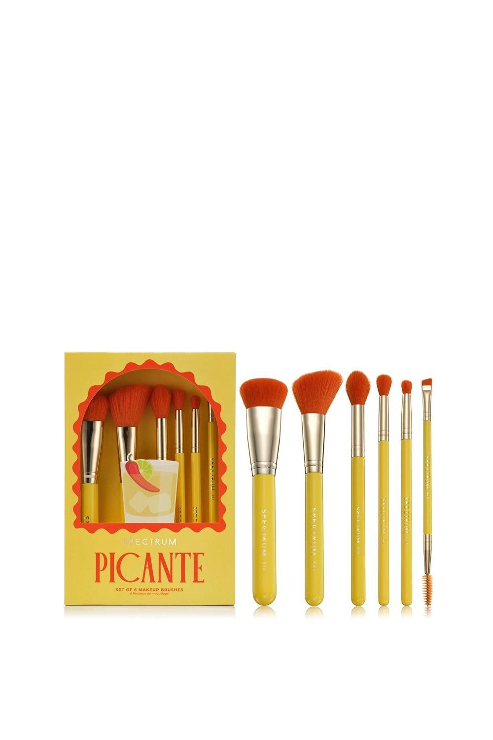 Picante 6 Piece Brush Set